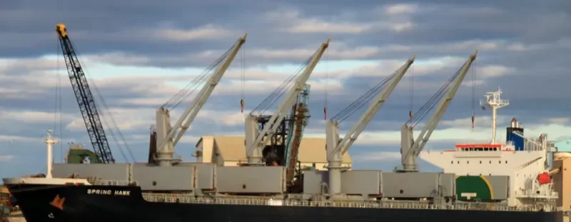 SPRING HAWK Bulk Carrier IMO 9478872 photo 8