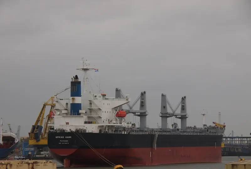 SPRING HAWK Bulk Carrier IMO 9478872 photo 9