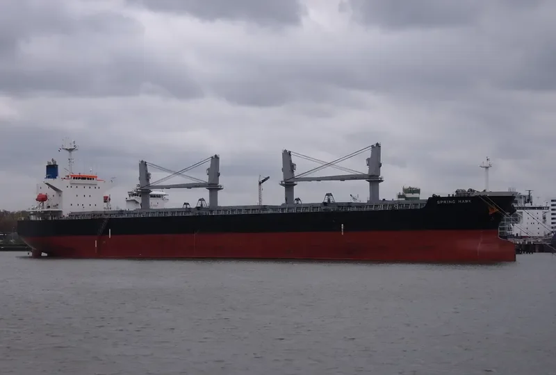 SPRING HAWK Bulk Carrier IMO 9478872 photo 10