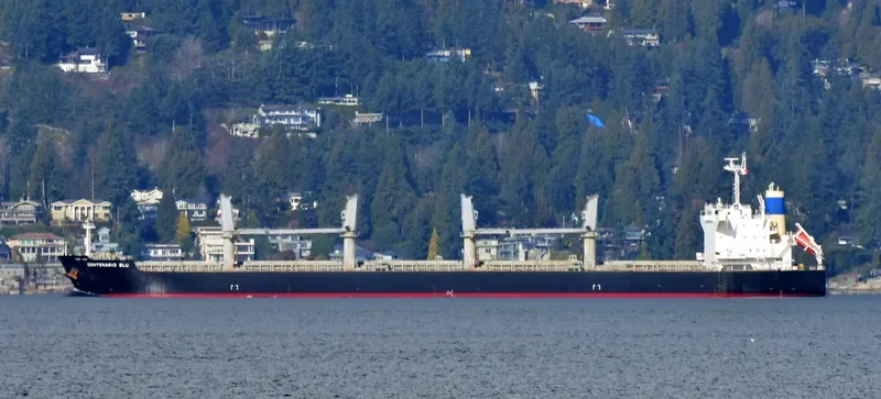 NEW GALAXY Bulk Carrier IMO 9478884 photo 4