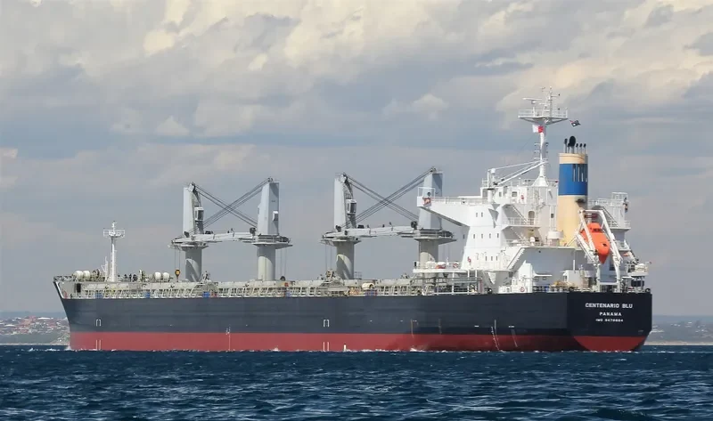 NEW GALAXY Bulk Carrier IMO 9478884 photo 7