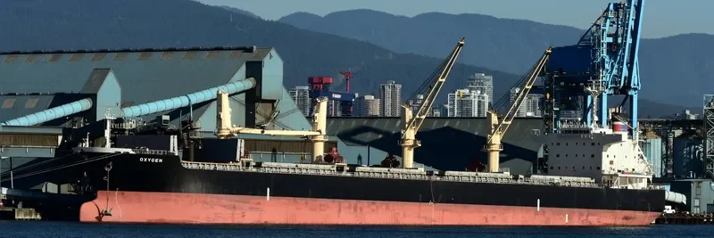 SEA PEARL Bulk Carrier IMO 9478896