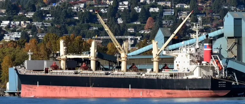 SEA PEARL Bulk Carrier IMO 9478896 photo 2