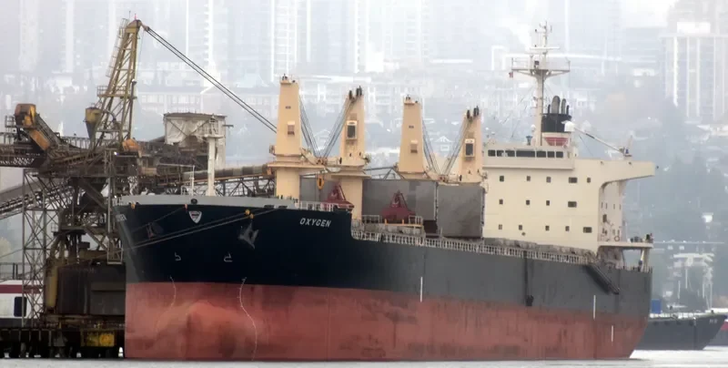 SEA PEARL Bulk Carrier IMO 9478896 photo 3