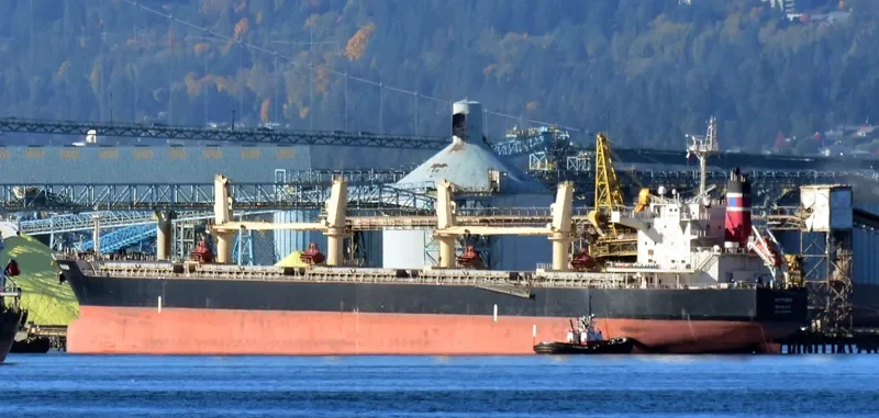 SEA PEARL Bulk Carrier IMO 9478896 photo 4