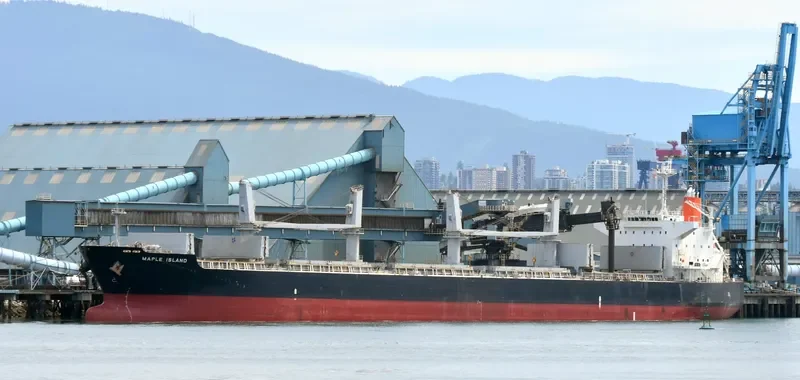 LUMOSO KARUNIA VIII Bulk Carrier IMO 9478925 photo 7