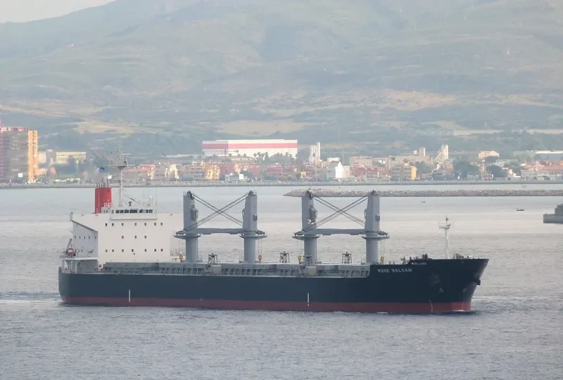 TEGEA Bulk Carrier IMO 9478937