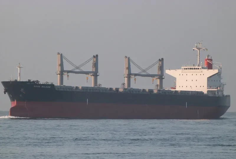TEGEA Bulk Carrier IMO 9478937 photo 7