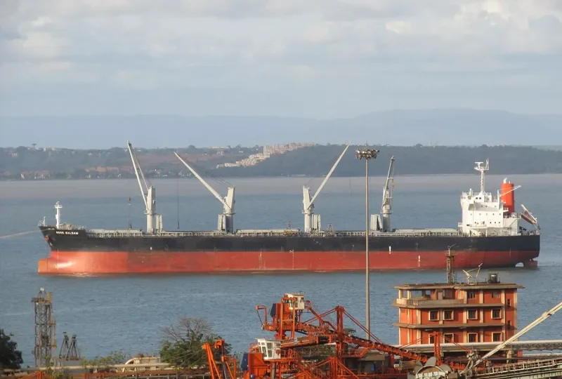 TEGEA Bulk Carrier IMO 9478937 photo 9