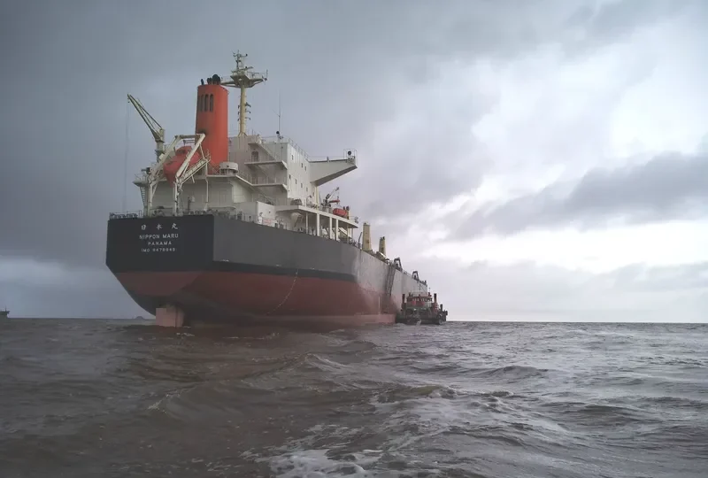 NIPPON MARU Bulk Carrier IMO 9478949