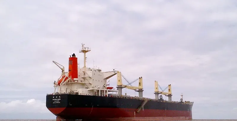NIPPON MARU Bulk Carrier IMO 9478949 photo 3