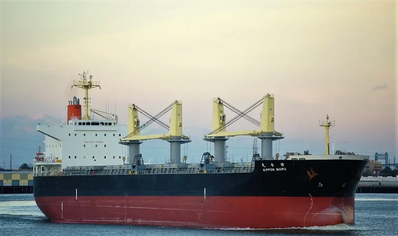 NIPPON MARU Bulk Carrier IMO 9478949 photo 7