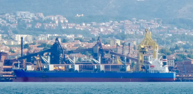 MINDANAO Bulk Carrier IMO 9478963 photo 4