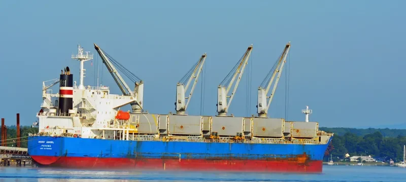 MINDANAO Bulk Carrier IMO 9478963 photo 6