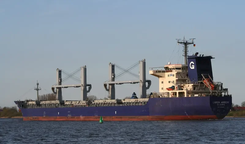 MINDANAO Bulk Carrier IMO 9478963 photo 10