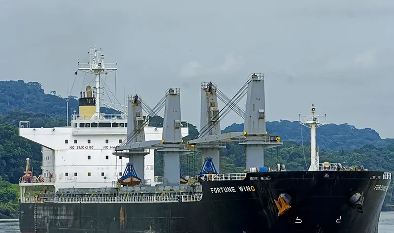 FORTUNE WING Bulk Carrier IMO 9479022