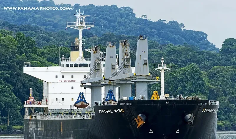 FORTUNE WING Bulk Carrier IMO 9479022 photo 2