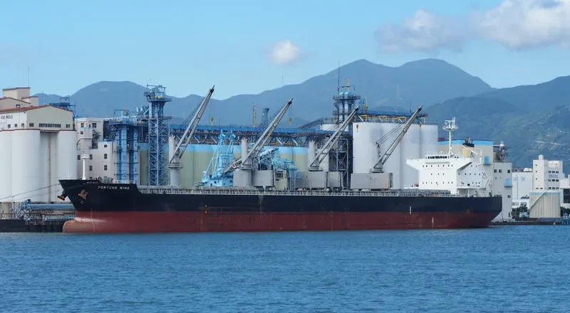 FORTUNE WING Bulk Carrier IMO 9479022 photo 4