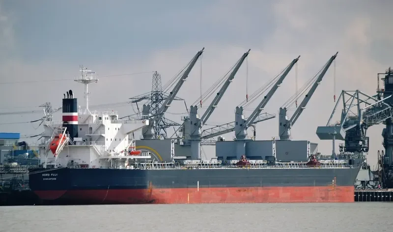 BUMBLEBEE Bulk Carrier IMO 9479046 photo 3