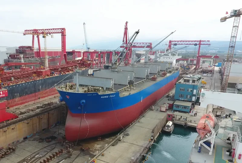 BUMBLEBEE Bulk Carrier IMO 9479046 photo 7