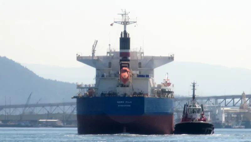 BUMBLEBEE Bulk Carrier IMO 9479046 photo 10