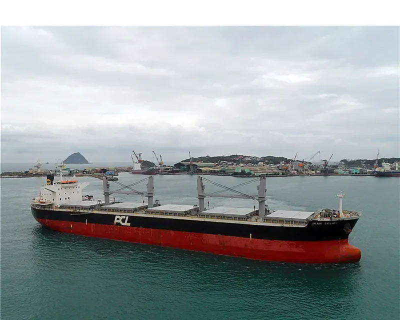 IKAN SELIGI Bulk Carrier IMO 9479058
