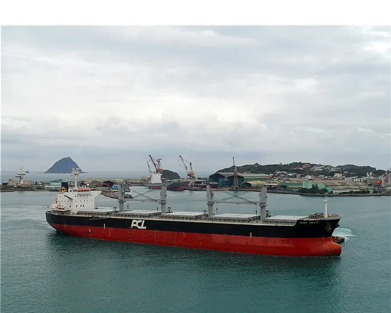 IKAN SELIGI Bulk Carrier IMO 9479058 photo 4