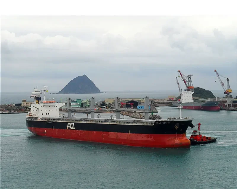 IKAN SELIGI Bulk Carrier IMO 9479058 photo 5