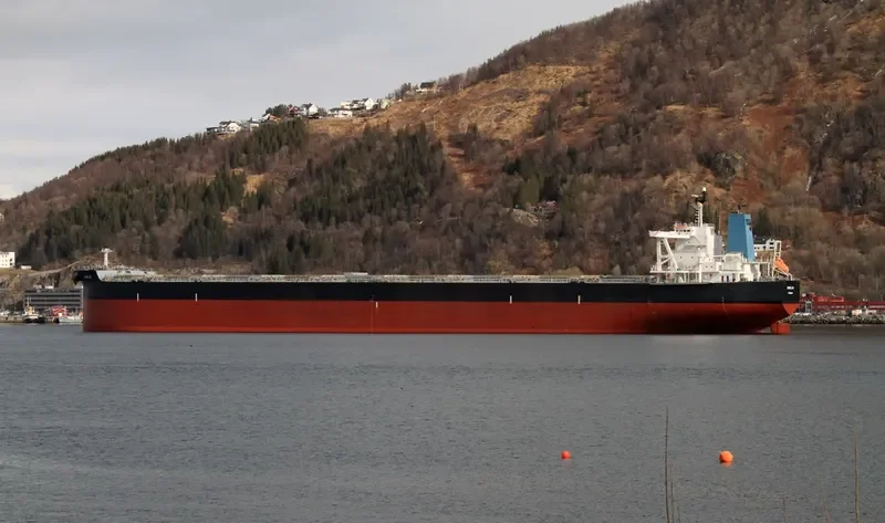 THALASSINI AGATHA Bulk Carrier IMO 9479204 photo 6