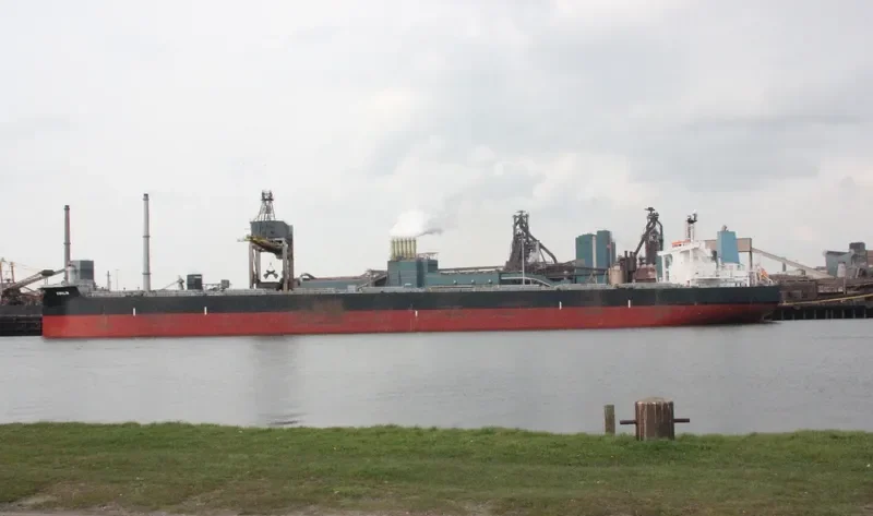 THALASSINI AGATHA Bulk Carrier IMO 9479204 photo 7