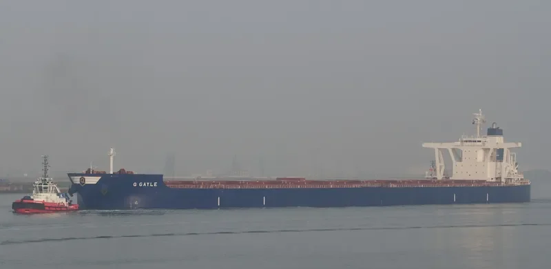 GOLDEN GAYLE Bulk Carrier IMO 9479228 photo 4