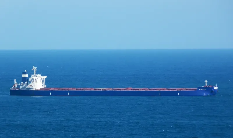 GOLDEN GAYLE Bulk Carrier IMO 9479228 photo 7