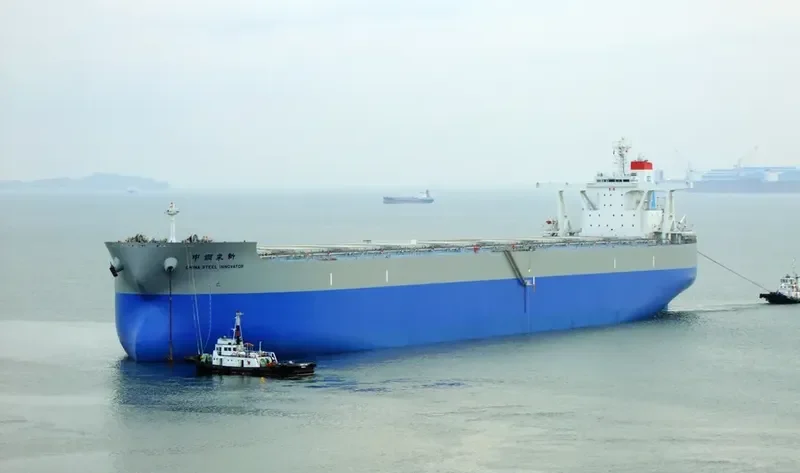 CHINA STEEL INNOVATOR Bulk Carrier IMO 9479230 photo 8