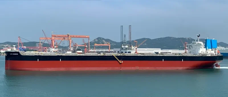 CAPE GENESIS Bulk Carrier IMO 9479307 photo 7