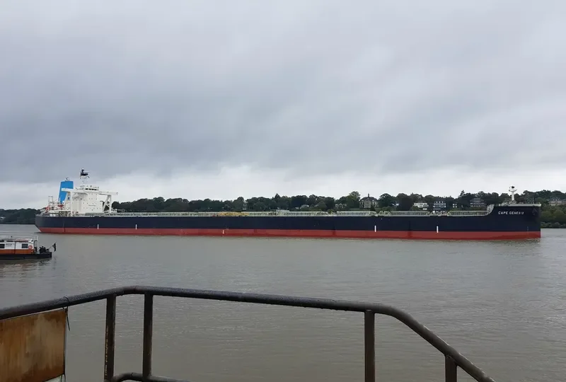 CAPE GENESIS Bulk Carrier IMO 9479307 photo 9