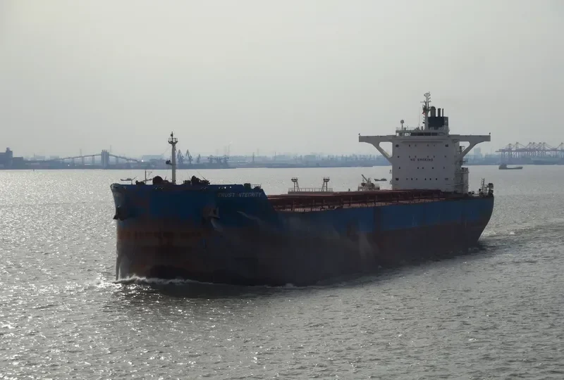ALPHA GRACE Bulk Carrier IMO 9479888