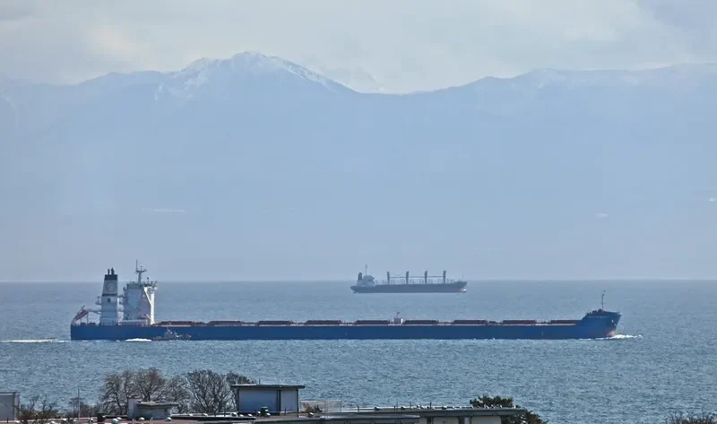 ALPHA GRACE Bulk Carrier IMO 9479888 photo 3