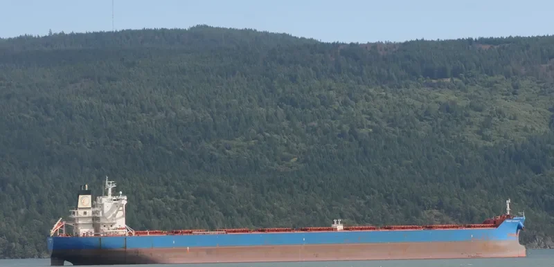 ALPHA GRACE Bulk Carrier IMO 9479888 photo 4