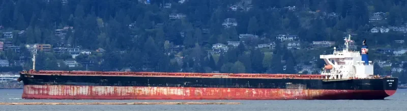 STAR PAULINE Bulk Carrier IMO 9479890 photo 2