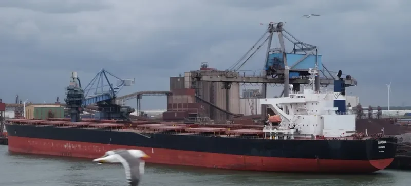 STAR PAULINE Bulk Carrier IMO 9479890 photo 5