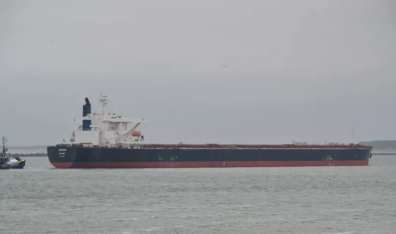 STAR PAULINE Bulk Carrier IMO 9479890 photo 10