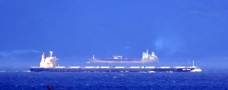 CAPE VIOLET Bulk Carrier IMO 9479905