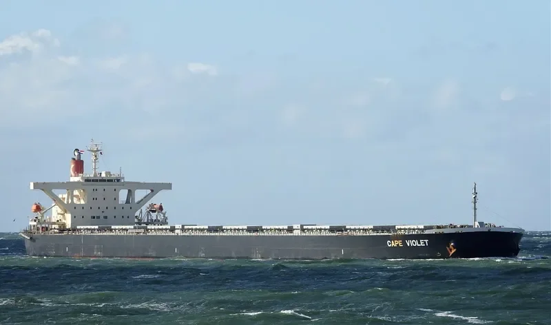 CAPE VIOLET Bulk Carrier IMO 9479905 photo 5