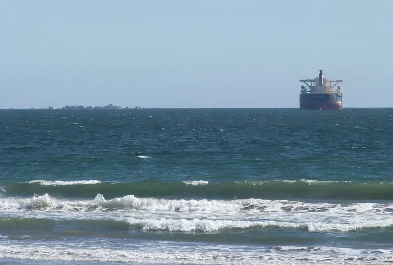 CAPE VIOLET Bulk Carrier IMO 9479905 photo 8