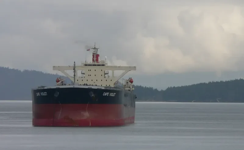 CAPE VIOLET Bulk Carrier IMO 9479905 photo 9