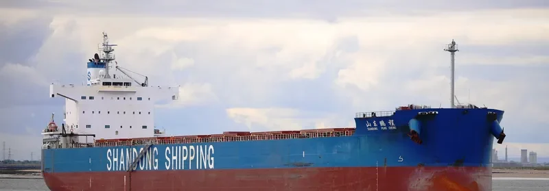 SHANDONG PENG CHENG Bulk Carrier IMO 9480552