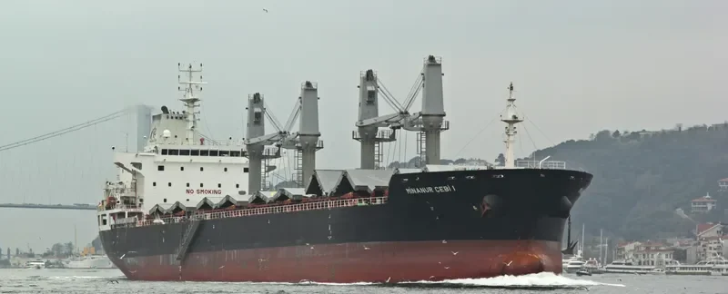 MINANUR CEBI 1 Bulk Carrier IMO 9480564 photo 6