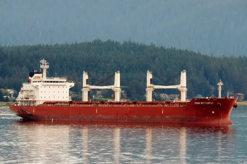 FOUR BUTTERFLY Bulk Carrier IMO 9480708