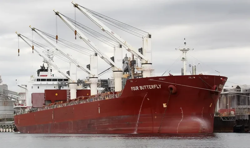 FOUR BUTTERFLY Bulk Carrier IMO 9480708 photo 3