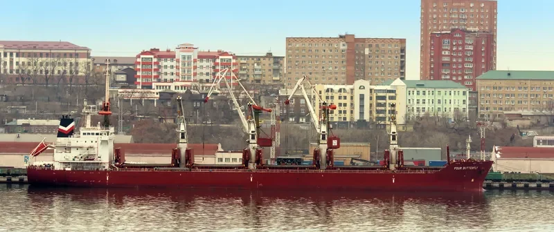 FOUR BUTTERFLY Bulk Carrier IMO 9480708 photo 4